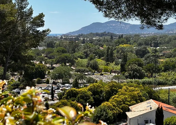 Mondello Hotellerie&Consultant : Appartement De Standing 47M2 Avec Piscine Cannes